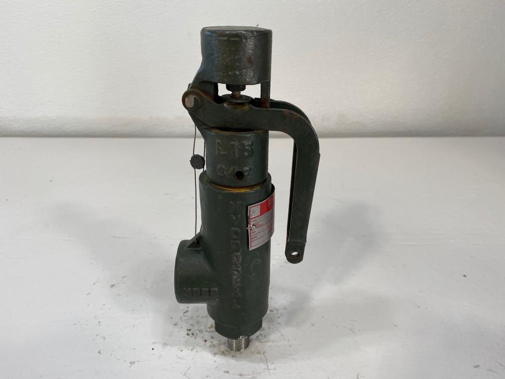 Hydroseal 1/2" NPT 100# WCB Relief Valve 1BV0LN/B5